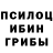 Псилоцибиновые грибы Cubensis PENCIL,God right