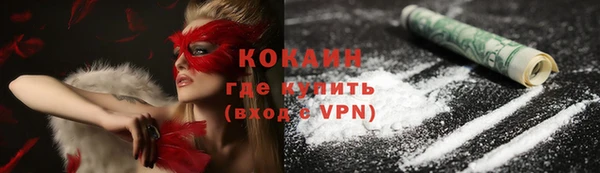 ECSTASY Лагань