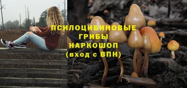мескалин Армянск