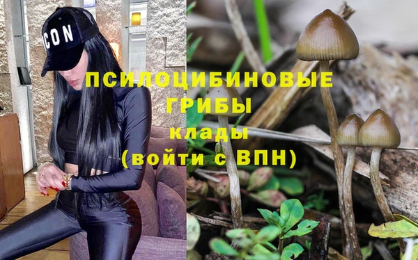 МДПВ Арсеньев
